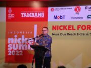 Eddy Soeparno: Indonesia Memiliki Posisi Tawar sebagai Pemasok Bahan Baku Baterai Listrik