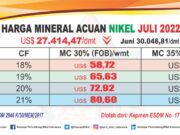 Sedikit Rendah dari Juni, Ini HPM Nikel Juli