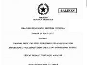 Presiden Teken PP 26 Tahun 2022, Ini Pandangan APNI Soal Royalti Nikel