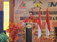 Raden Sukhyar: Industri Hilir Harus Lebih Jauh ke Hilir, Feronikel Itu Cerita Lama