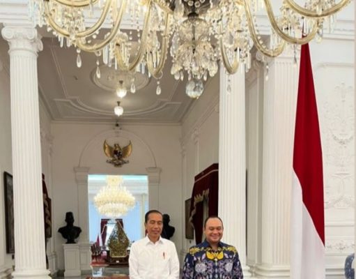 Apresiasi Kebijakan Jokowi dalam Hilirisasi Industri, Caketum HIPMI: Perlu Infrastruktur Lebih Massif
