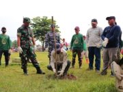 Dukung Pemerintah Kurangi Emisi GKRK, IMIP Kembali Tanam 2000 Pohon Pelindung dokumen IMIP