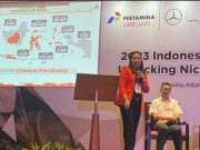 Mengintip Peluang dan Tantangan Pertambangan dan Industri Nikel di 2023