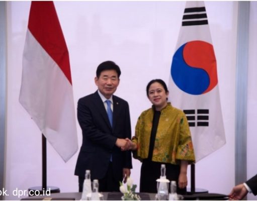 MoU DPR RI dan DPR Korsel dari Peluang Investasi IKN, Jet Tempur, hingga EV