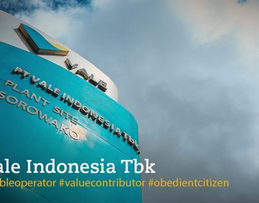 DPR Ungkap Kepemilikan Saham Publik 20,7 Persen Vale Milik Asing