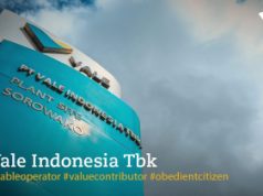 Perpanjangan Kontrak Vale 20 Tahun di RI Sudah dalam Proses