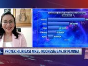 Meidy Katrin Lengkey: Sudah Waktunya Stop Pembangunan Pabrik Pirometalurgi