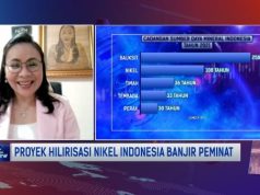 Meidy Katrin Lengkey: Sudah Waktunya Stop Pembangunan Pabrik Pirometalurgi