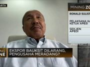 APB3I Dukung Hilirisasi Bauksit, namun Terkendala Mendirikan Smelter