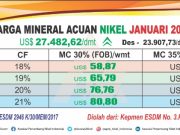 Trader Bakal Tersenyum, HPM Nikel Januari Terkerek US$ 7,94 WMT