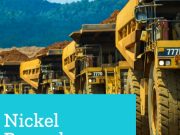 Laporan Steven Brown dalam Nickel Powerhouse, Ungkap Dampak Industri Nikel