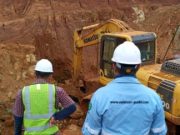 Fenomena “Back To Home” Pemain Nikel ke Bisnis Asal