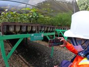 PT Vale Mencatatkan Rekor Terendah dalam Penggunaan Energi Sejak 2020