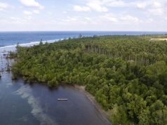 Tiga Kementerian Apresiasi Harita Nickel, Berhasil Lestarikan Pesisir Pantai Halmahera Selatan