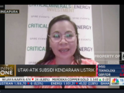 Hilirisasi Melesat, Hulunisasi Macet, Ini Pandangan APNI