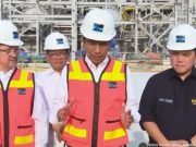 Jokowi Minta Smelter PTFI Gresik Rampung Sebelum Mei 2024