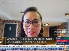 APNI akan Rekomendasikan Tahan RKAB Pelaku Dugaan Ekspor Nikel Ilegal ke China