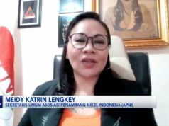 IMF Telat, Hilirisasi Indonesia Sudah Berhasil