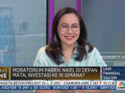 APNI Dukung Rencana Pemerintah Mempercepat Moratorium Pembangunan Smelter Nikel Baru