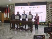 Kejar NZE Selain BEV, Kementerian ESDM Dorong Kembangkan Hidrogen Hijau