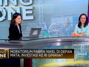 Meidy Katrin : Jumlah Cadangan Nikel Harus Dibuktikan dengan Data Eksplorasi Detail