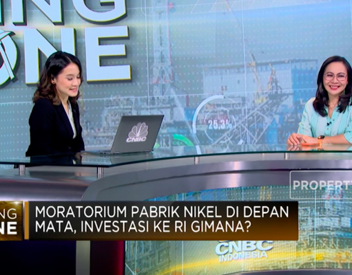 Meidy Katrin : Jumlah Cadangan Nikel Harus Dibuktikan dengan Data Eksplorasi Detail