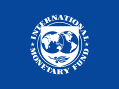 Sempat Menentang Kebijakan Ekspor Nikel, IMF Sebut Alasannya