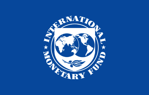 Sempat Menentang Kebijakan Ekspor Nikel, IMF Sebut Alasannya