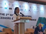 Pemanasan Global Peluang Indonesia Raih Keuntungan dari Transisi Energi