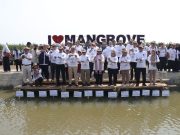 Hijaukan Indonesia, Harita Nickel Tanam 15.000 Mangrove