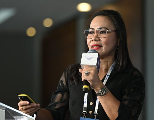 APNI Bangga Indonesia Telah Resmi Miliki Pabrik Baterai dan Kendaraan Listrik Hyundai Meidy Katrin Lengkey