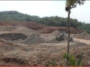 Solusi Atasi Peti dengan Penyederhanaan Perizinan