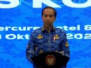 Presiden Jokowi Sebut Nikel dan Mobil Listrik Peluang Indonesia Jadi Negara Maju