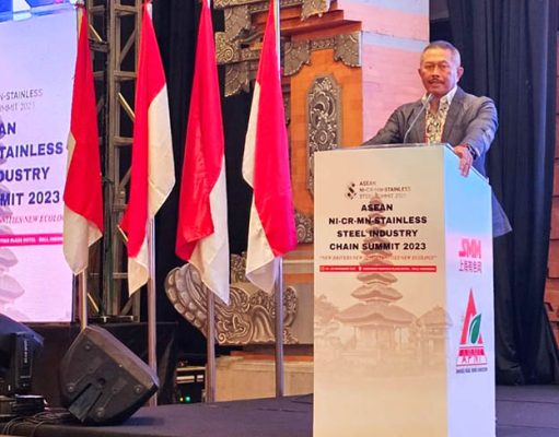 Ketum APNI Paparkan Tiga Poin Penting di ASEAN Summit Bali 2023