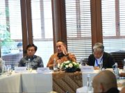 Ditjen Minerba: Penumpasan Peti harus Maksimal Jika Satgas Gakkum Diresmikan