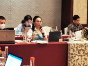 FGD Kemenlu, Terima Masukan untuk Perumusan Road Map Indonesia Emas 2045