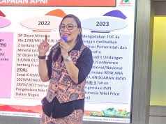 Hanya Indonesia yang Punya Benchmark Bijih Nikel di Dunia