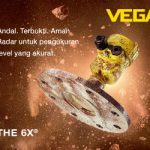 The6X-Bulk-solid-300x250pix-ID