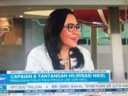 APNI Khawatir Banyaknya Pabrik Pengolahan, Cadangan Nikel akan Habis