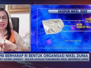 Harga Nikel Dunia Anjlok, Sekum APNI Berikan Beberapa Rekomendasi Meidy Katrin Lengkey