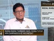 Nilai Harga Nikel Pengaruhi PNBP