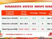 Bijih Nikel 1,2% Naik US$0,4/dmt pada 18 Maret 2024 Update INPI. Dok: APNI.