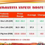 WhatsApp Image 2024-03-19 at 3.29.56 PM (1)