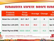 APNI Merilis Harga Nikel INPI Per 22 April 2024