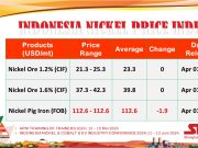 NPI Turun US$1,9/dmt pada 1 April 2024 INPI