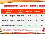 Tahun 2024 Harga Nikel Cenderung Alami Kenaikan