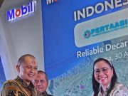 Sekum APNI Beberkan Penyebab Kenaikan Harga Nikel