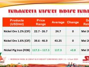 Harga Nikel Tembus US$21.080/ton, Imbas Kerusuhan di Kaledonia Baru