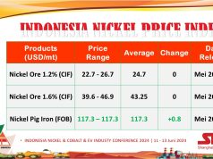 Harga Nikel Tembus US$21.080/ton, Imbas Kerusuhan di Kaledonia Baru