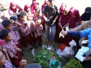 Hari Lingkungan Hidup Sedunia, Vale Adakan Goes to School